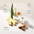 Medavita Lotion Concentree Anti-Hair Loss Treatment – Αμπούλες για Θεραπεία Τριχόπτωσης 13 x 6ml